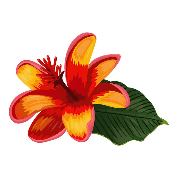 Kırmızı Sarı Liyum Çiçeğinin Vektör Görüntüsü Vektör Illüstrasyonu — Stok Vektör