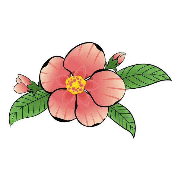 Imagen Hermosas Flores Rosadas Vector Ilustración Vectorial — Vector de stock