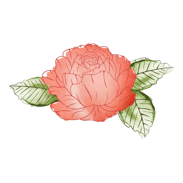 Vektorbild Von Abstrakten Aquarell Rosa Rose Vektorillustration — Stockvektor