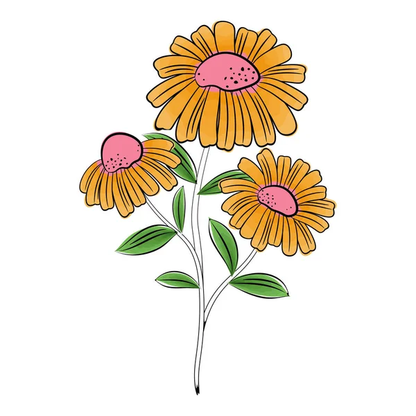 Διανυσματική Εικόνα Του Χρώματος Τρία Λουλούδια Χαμομήλι Εικονογράφηση Διανύσματος — Διανυσματικό Αρχείο