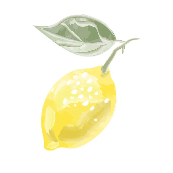Aquarell Zitronenzusammensetzung Aus Zitrone Und Blättern Vektorillustration — Stockvektor