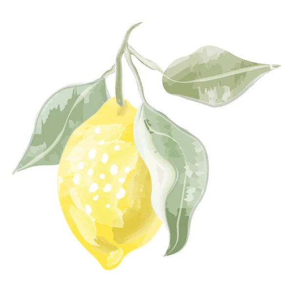 Aquarelle Citron Avec Des Feuilles Illustration Fleur Illustration Vectorielle — Image vectorielle