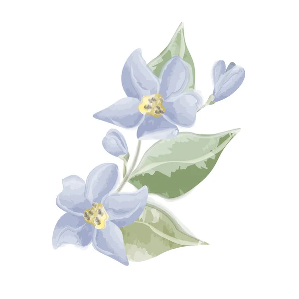 Citroenbloemen Met Bladeren Vector Aquarel Vectorillustratie — Stockvector