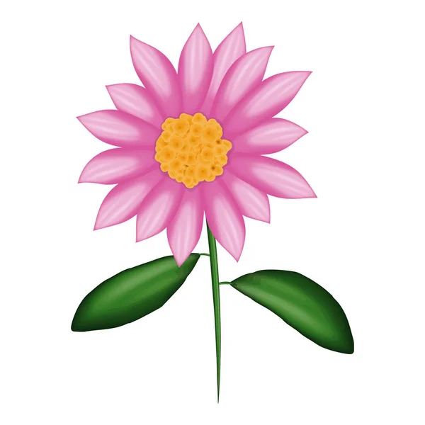 粉色美丽花朵的矢量图像 矢量说明 — 图库矢量图片
