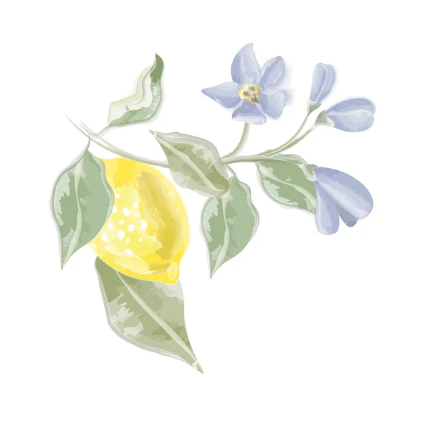 Komposition Zitrone Auf Einem Zweig Mit Blumen Aquarell Vektor Vektorillustration — Stockvektor