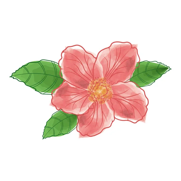 Vector Image Watercolor Hibiscus Flower Vector Illustration — Stock Vector