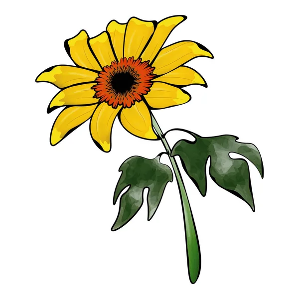 Νερό Έγχρωμη Εικόνα Του Δέντρου Λουλούδι Marigold Εικονογράφηση Διανύσματος — Διανυσματικό Αρχείο