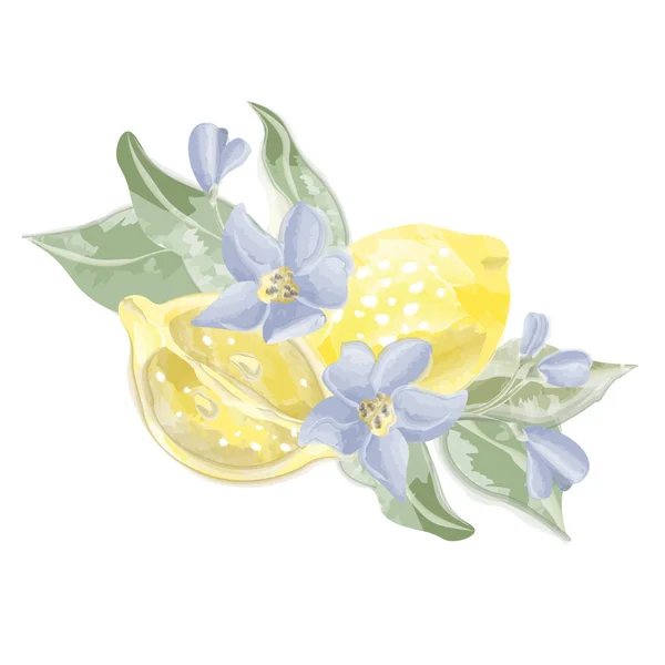 Komposition Zitrone Mit Blüten Und Blättern Geschnitten Vektorillustration — Stockvektor