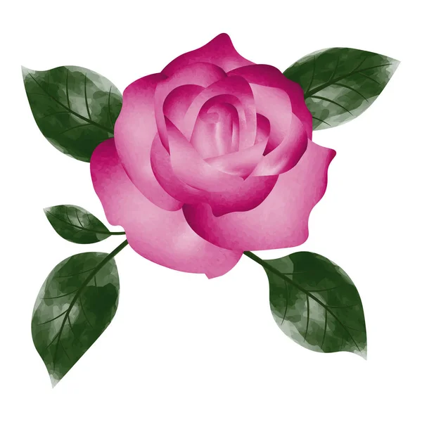 Ροζ Τριαντάφυλλο Πράσινα Φύλλα Εικονογράφηση Διανύσματος — Διανυσματικό Αρχείο