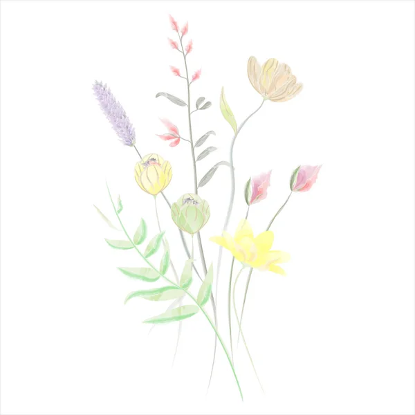 Дикі Квіти Акварель Вектор Ілюстрації Квітка Векторні Ілюстрації — стоковий вектор
