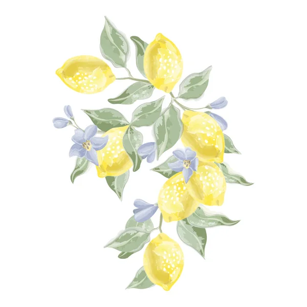 Citrónová Větev Květinami Listy Citrusové Vektorové Akvarely Vektorová Ilustrace — Stockový vektor