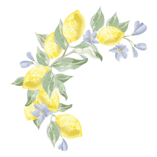 Halvbåge Citron Gren Vektor Akvarell Vektorillustration — Stock vektor