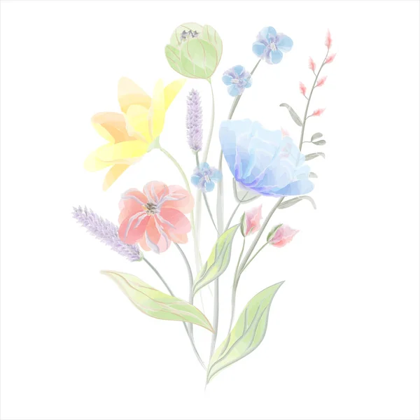 Elrendezése Kerti Virágok Akvarell Vektor Virágok Vektorillusztráció — Stock Vector