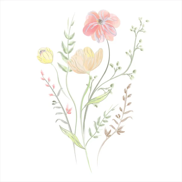 Облаштування Садових Квітів Акварель Векторні Дикі Квіти Векторні Ілюстрації — стоковий вектор