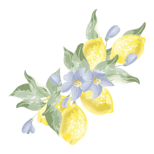 Sammansättning Fem Citroner Gren Akvarell Vektor Vektorillustration Vektorgrafik
