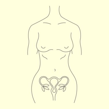 Kadın figürü kadın vücut yapısı uterus çiçek doğrusal illüstrasyon. Vektör illüstrasyonu