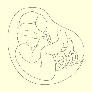 Göbek kordonu doğrusal çizim vektörü olan bir bebek. Vektör illüstrasyonu