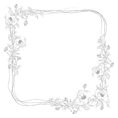 Çerçeve kare el çizimi, yapraklar ve çiçek çizgileri şeffaf arka plan. Vektör illüstrasyonu