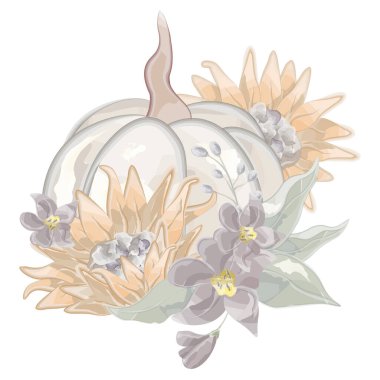 Sonbahar beyaz balkabağı ve ayçiçeği vektörü suluboya. Vektör illüstrasyonu