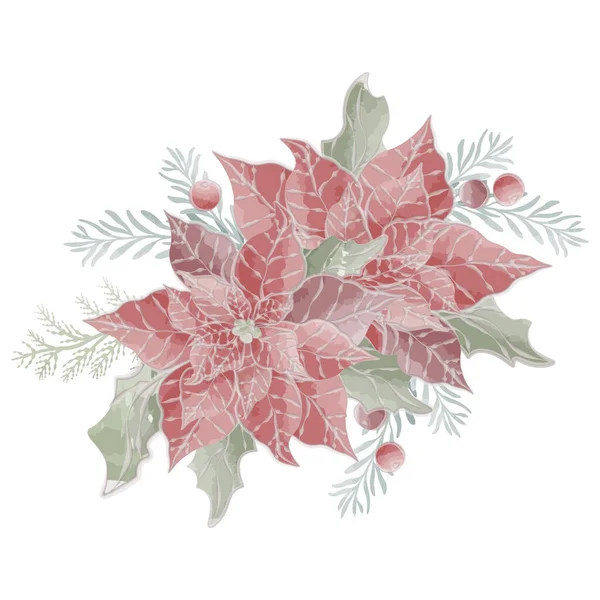Kırmızı çiçeklerin ve köknar dallarının Noel yıldızı Poinsettia vektör suluboya. Vektör illüstrasyonu