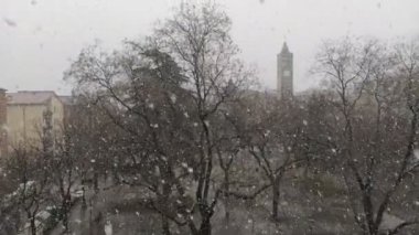 Verona Parkı 'nda kar yağışıweather condition
