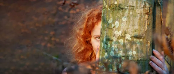 鮮やかな赤い髪をした美しいセクシーな若い赤毛の女性の広いパノラマバナーの肖像画 目を見張る 秋の木の幹の後ろから外を見る コピースペース — ストック写真