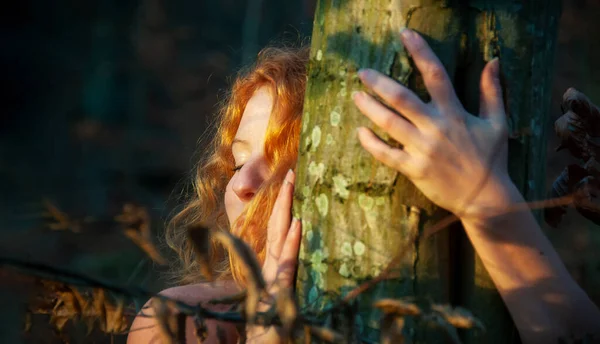 美しい若い美しいセクシーな女性の赤毛の生姜とともに巻き毛自然林秋の自然 黄金の夜の太陽の下で木の幹を抱きます 愛を感じます コピースペース — ストック写真