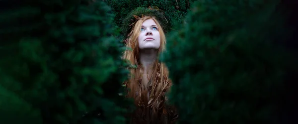 wide banner panorama Portrait of young sexy redhead woman with bright blue eyes in winter garden with long red hair full of foliage with a wreath of moss on her head among dark yew bushes, copy space