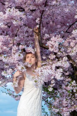 sensual seductive young sexy blonde woman portrait in white dress surrounded by japanese cherry blossoms, sakura