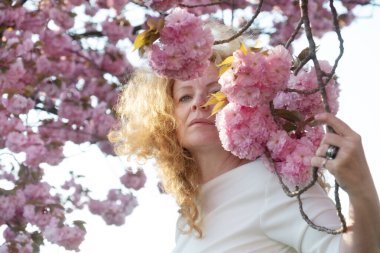 sensual seductive mature sexy redhead woman portrait in white dress surrounded by japanese cherry blossoms, sakura