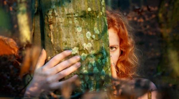 美丽的年轻貌美的性感女子红发碧眼的画像 在森林的秋天里自然地长着卷曲的红头发 在金色的晚霞中 一半在树干后面 感受着爱情 复制着空间 — 图库照片