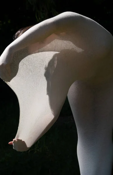Foto Artística Jovem Sexy Elegante Mulher Nua Seu Corpo Envolto — Fotografia de Stock