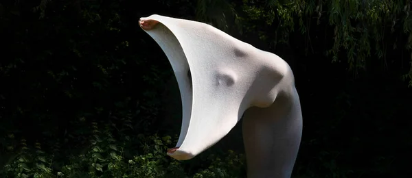 若いセクシーなエレガントなヌード女性の芸術的な写真 彼女の体は 体の形を強調長い肌タイト白いドレスに包まれました 自然の中での生活像として コピースペース — ストック写真