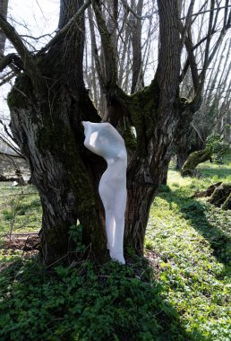 Beyaz şeffaf pamuk çoraplı seksi genç kadın modern bir canlı heykel gibi giyiniyor arka planda, ağacın önünde, boşluğu kopyalıyor.