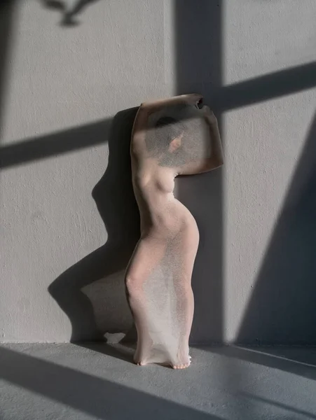 Sexy Junge Nackte Frau Weißen Transparenten Baumwollstrumpfkleid Als Moderne Lebende — Stockfoto