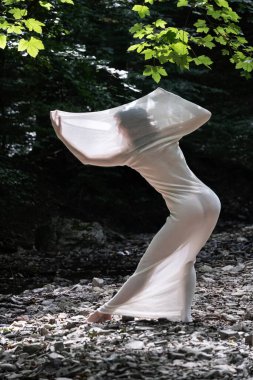 Arkaplanda genç, zarif, çıplak bir kadının sanatsal fotoğrafı. Vücudu şeffaf, uzun bir cilde bürünmüş. Dere yatağında vücut şekilleri belirten, uzay kopyası.