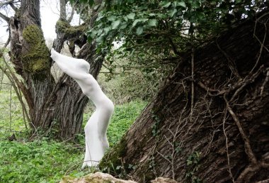 Yeşil doğa orman söğüt parkında beyaz şeffaf pamuklu çorap giyen seksi çıplak kadın.