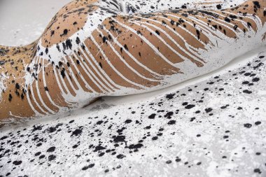 side view of hip, abdomen, butt and thighs of sexy young nude female woman body doused in stripes with black, white paint, elegant on the Studio floor, Copy space