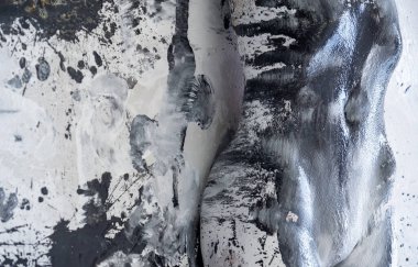 Siyah ve beyaz arka plan önünde kadın vücudu, siyah ve beyaz boyalı genç, çıplak bir kadının göbeği ve kalçaları. Yaratıcı, soyut vücut boyama sanatı, uzayı kopyalama