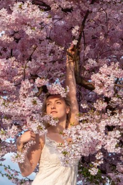 Japon kiraz çiçekleri, sakura ve fotokopi alanlarıyla çevrili beyaz elbiseli, baştan çıkarıcı, seksi sarışın kadın portresi.