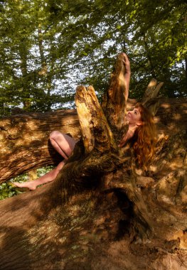 Seksi, çıplak, kızıl saçlı kadın, şehvetli vücut formlarını saklayan devrilmiş bir ağaca kurulmuş, batan güneşin turuncu kırmızı akşam ışığında uzayı taklit ediyor.