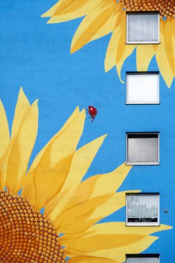 Part of an artistic street art mural painted house, skyscraper with huge fibonacci yellow sunflower blossoms on blue house wall, windows, facade painting, in Wuppertal Oberbarmen, copy space clipart