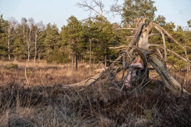 Uzun sarı saçlı çıplak bir kadın ölü bir ağacın buruşuk kökleriyle sarılmış vahşi bir araziye karışıyor. Sıcak akşam ışığı büyülü, dünyevi, peri gibi bir atmosfer ekler, uzayı taklit eder.