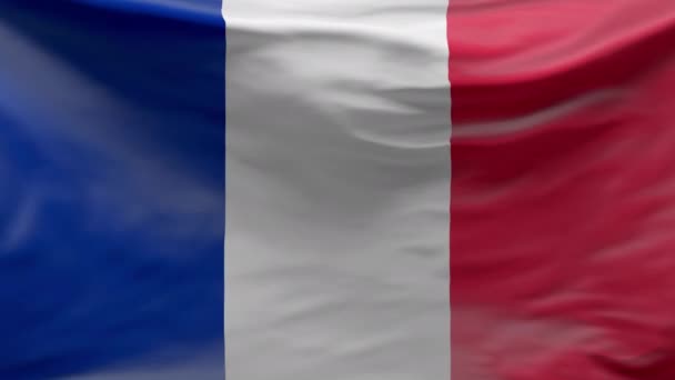 Фон Флага Франции Трехмерное Медленное Движение France Flag Waving Seamless — стоковое видео