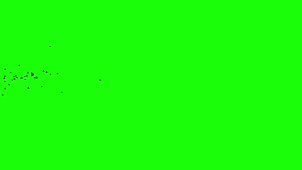 緑の画面に向かって左から右へ飛ぶ黒い鳥の群れ — ストック動画