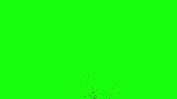一群黑鸟在绿屏上飞翔 鸟类的轮廓由下到上都在飞 — 图库视频影像