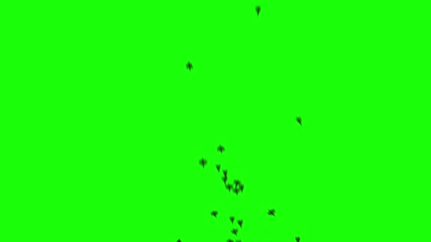 黒い鳥の群れが緑の画面を飛んでいます 鳥のシルエットが下から上へ飛ぶ — ストック動画