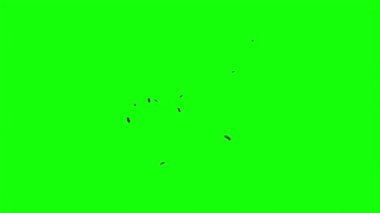 Yeşil arka planda bir sinek sürüsü. Etrafta kaotik bir şekilde uçuşan arı sürüsü. Kokuşmuş bir şeyin konsepti. Böcek bulutu. Uçan böcekler.