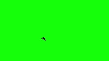 Tek bir siyah kuş soldan sağa uçar. Krom anahtar yeşil ekran arka planı. VFX bileşimi için.