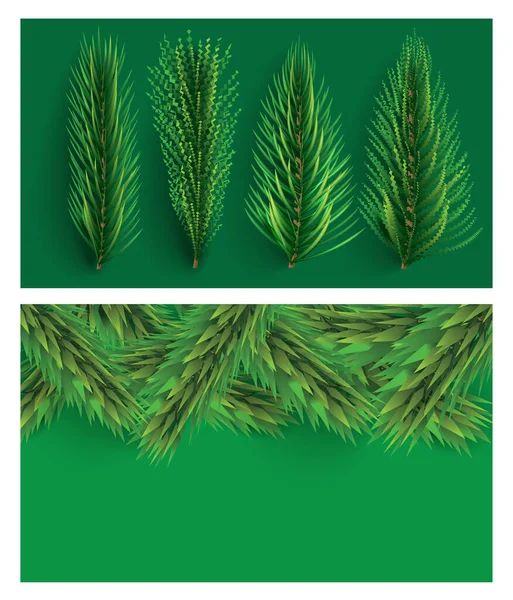 Набір Ялинових Гілок Різдвяна Ялинка Соснові Гілки Зеленому Тлі — стокове фото